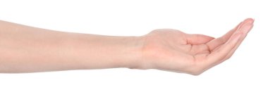 Beyaz kadın elleri, farklı jestler gösteren beyaz bir arka plan izole etti. Kadın elleri bir şey tutar ya da alır, verir, puan verir.