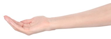 Beyaz kadın elleri, farklı jestler gösteren beyaz bir arka plan izole etti. Kadın elleri bir şey tutar ya da alır, verir, puan verir.