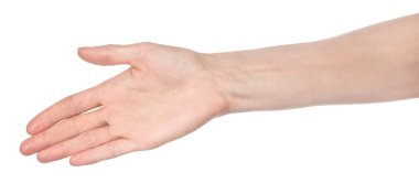 Beyaz kadın elleri, farklı jestler gösteren beyaz bir arka plan izole etti. Kadın elleri bir şey tutar ya da alır, verir, puan verir.