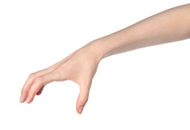 Beyaz kadın elleri, farklı jestler gösteren beyaz bir arka plan izole etti. Kadın elleri bir şey tutar ya da alır, verir, puan verir.