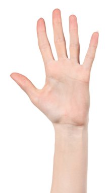 Beyaz kadın elleri, farklı jestler gösteren beyaz bir arka plan izole etti. Kadın elleri bir şey tutar ya da alır, verir, puan verir.