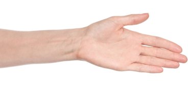 Beyaz kadın elleri, farklı jestler gösteren beyaz bir arka plan izole etti. Kadın elleri bir şey tutar ya da alır, verir, puan verir.