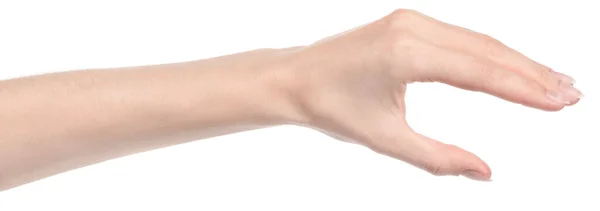 Mãos Caucasianas Femininas Isoladas Fundo Branco Mostrando Gestos Diferentes Mãos — Fotografia de Stock