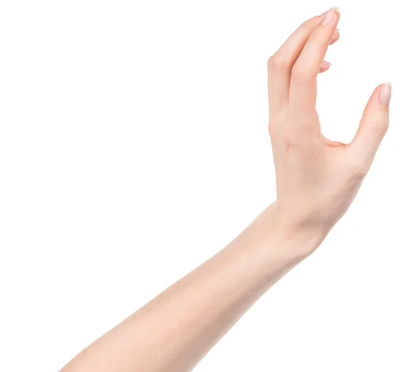 Beyaz Kadın Elleri Farklı Jestler Gösteren Beyaz Bir Arka Plan — Stok fotoğraf