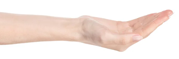 Weibliche Kaukasische Hände Isolierten Weißen Hintergrund Der Verschiedene Gesten Zeigte — Stockfoto