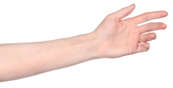 女性の白人女性の手は 異なるジェスチャーを示す隔離された白い背景 ジェスチャーを示す女性の手は — ストック写真