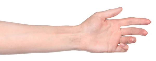 雌性高加索人的手孤立的白色背景显示出不同的手势 女人的手摆出姿势 握住某物或拿起 — 图库照片