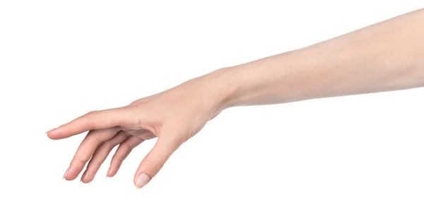 Beyaz kadın elleri, farklı jestler gösteren beyaz bir arka plan izole etti. Kadın elleri bir şey tutar ya da alır, verir, puan verir.