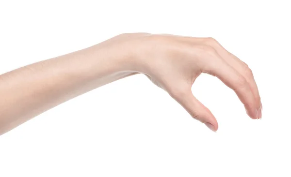 Vrouwelijke Blanke Handen Geïsoleerde Witte Achtergrond Met Verschillende Gebaren Vrouw — Stockfoto