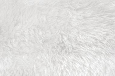 Beyaz, temiz, üst tarafı beyaz yün. hafif doğal koyun yünü. Beyaz, pürüzsüz pamuk. Tasarımcılar için tüylü kürk dokusu. yakın plan beyaz yün halı.