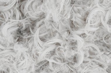 Beyaz tüyler ve yastık dokusu arka planından kabarık tüyler