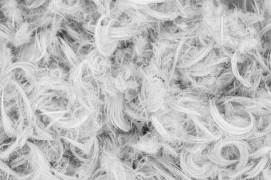 Beyaz tüyler ve yastık dokusu arka planından kabarık tüyler