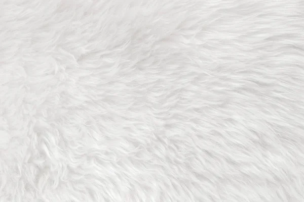 Lana Bianca Pulita Con Sfondo Bianco Superiore Texture Lana Pecora — Foto Stock