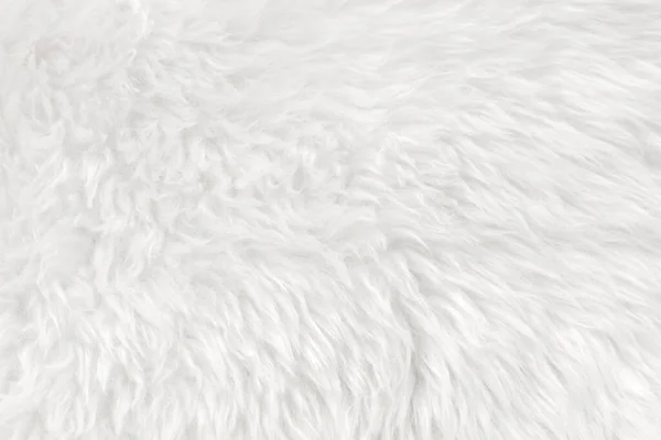 白い上質感の背景を持つ白いきれいなウール 軽い天然羊のウール 白いシームレスコットン デザイナーのためのふわふわの毛皮の質感 クローズアップフラグメント白いウールカーペット — ストック写真