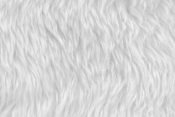 Biała Czysta Wełna Białym Górnym Tłem Tekstury Lekka Naturalna Wełna — Zdjęcie stockowe