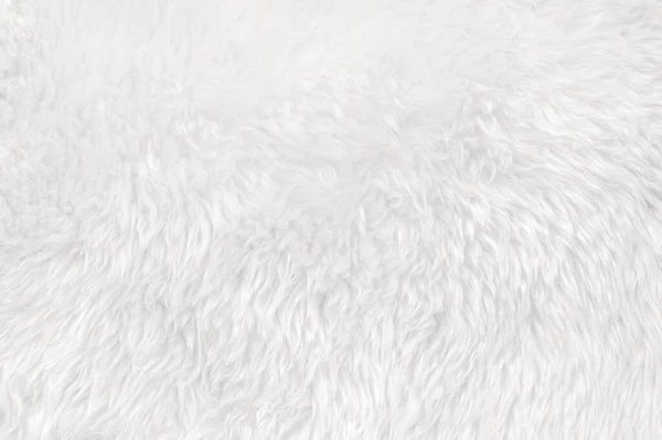 Біла Чиста Вовна Білим Верхнім Тлом Текстури Легка Натуральна Овеча — стокове фото