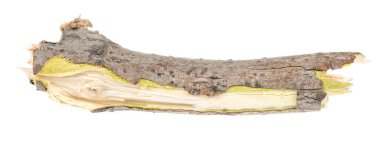 Kuru ağaç dalları beyaz arka planda izole edilmiş. Beyaz arka planda kırık tahta parçaları. yakın plan