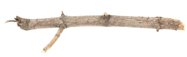 乾燥した木の小枝の枝は白い背景に孤立しています 白い背景に壊れた木の板の破片 — ストック写真