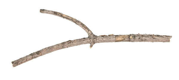 Dry tree twigs branches isolated on white background. pieces of broken wood plank on white background. close-up