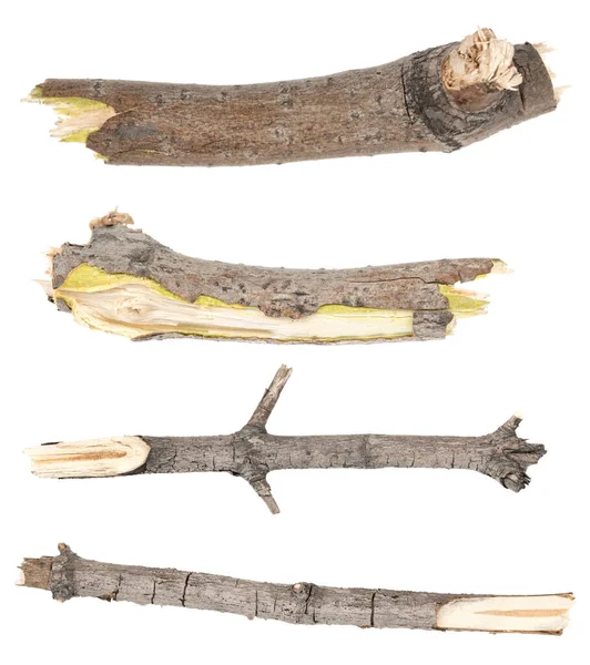 白い背景に孤立した乾燥した木の小枝をコラージュします 白い背景に壊れた木の板の破片 — ストック写真