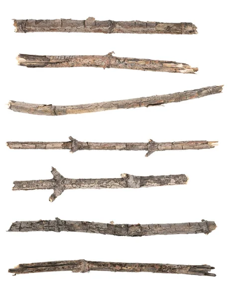 Collage Trockene Zweige Äste Isoliert Auf Weißem Hintergrund Zerbrochene Holzplanken — Stockfoto