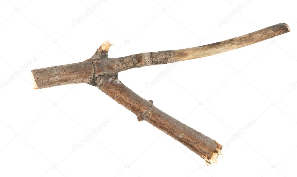 Dry tree twigs branches isolated on white background. pieces of broken wood plank on white background. close-up