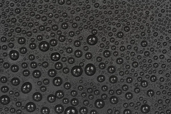 Water drops on black background texture. Dark backdrop glass covered with drops of water. gray bubbles in water