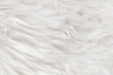 Doğal beyaz yünlü, kusursuz doku arkaplanı. Hafif koyun yünü. Tasarımcılar için tüylü kürk dokusu. yakın plan beyaz bej yün halı