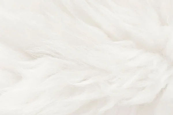 Natural animal white wool seamless texture background. light sheep wool. texture of fluffy fur for designers. close-up fragment white beige wool carpet