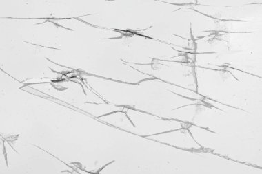 Kırık cam parçaları beyaz arka planda