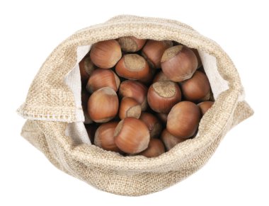 Beyaz bir arka planda çuval bezi içinde soyulmamış fındıklar. Kabuklu fındık