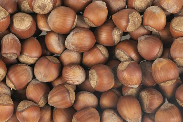 Unpeeled Hazelnuts Background Texture Hazelnuts Shell — Stock Photo, Image