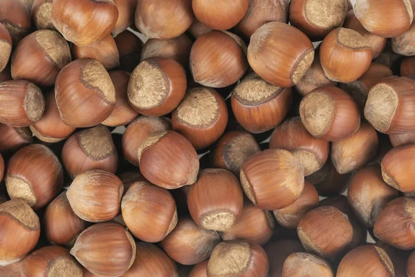 Unpeeled Hazelnuts Background Texture Hazelnuts Shell — Stock Photo, Image