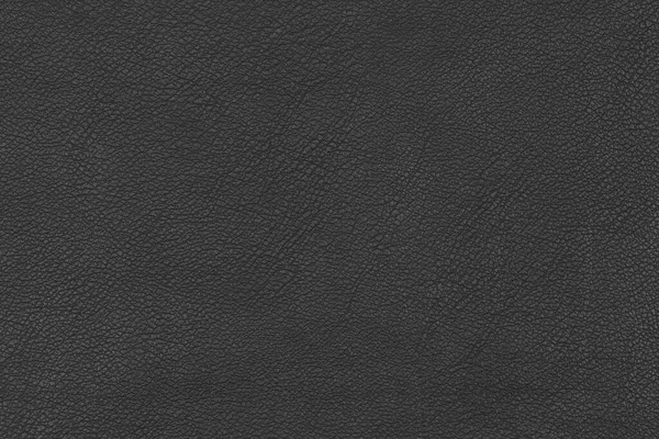 Textura Fondo Cuero Negro Natural Blanco Para Diseñador Superficie Texturizada — Foto de Stock