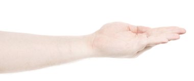 Beyaz tenli erkek eller, beyaz arka planda bir şey tutar ya da alır, verir. Erkek elleri farklı jestler gösteriyor.