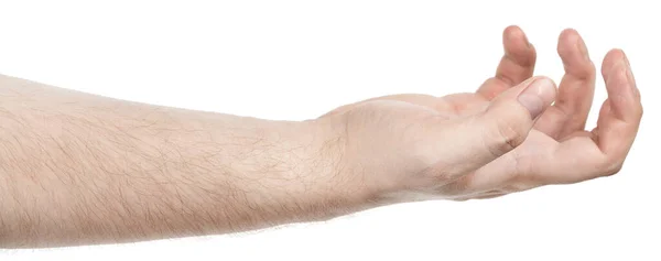 Αρσενικά Καυκάσια Χέρια Απομονώνονται Λευκό Φόντο Δείχνει Χειρονομία Κατέχει Κάτι — Φωτογραφία Αρχείου