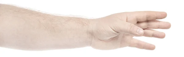 男性の白人男性の手は ジェスチャーを示す隔離された白い背景は何かを保持するか 与える 異なるジェスチャーを示す男性の手は — ストック写真