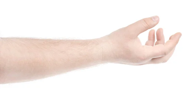 Мужские Белые Руки Изолированы Белом Фоне Показывая Жест Держит Принимает — стоковое фото