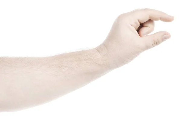 Чоловічі Кавказькі Руки Ізольовані Білий Фон Показує Жест Тримає Щось — стокове фото