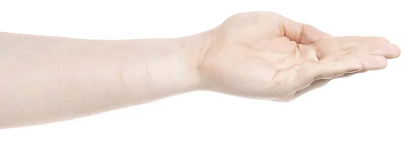 男性の白人男性の手は ジェスチャーを示す隔離された白い背景は何かを保持するか 与える 異なるジェスチャーを示す男性の手は — ストック写真