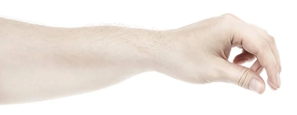 Mužské Bělošské Ruce Izolované Bílé Pozadí Ukazující Gesto Něco Drží — Stock fotografie