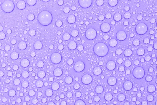 Vatten Droppar Lila Bakgrund Konsistens Bakgrundsglas Täckt Med Droppar Vatten — Stockfoto