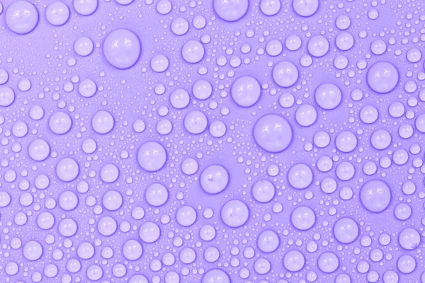 Water Drops Purple Background Texture Backdrop Glass Covered Drops Water — Stock Photo, Image