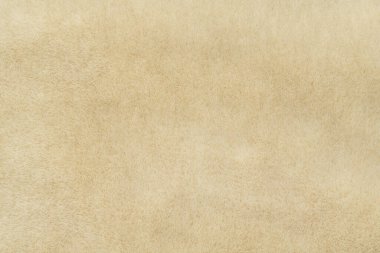 Bej rengi yün, dikişsiz doku arkaplanı. kısa fabrika yünüyle doku.