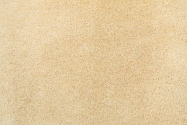Bej rengi yün, dikişsiz doku arkaplanı. kısa fabrika yünüyle doku.