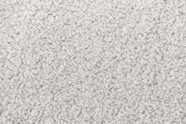Witte Krullende Wol Naadloze Textuur Achtergrond Textuur Met Kort Fabrieksmateriaal — Stockfoto