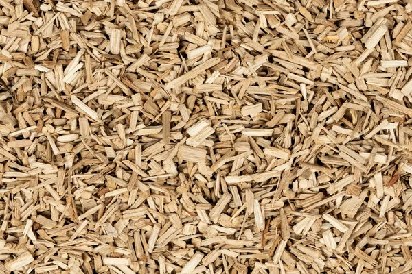 Oak Chips Sawdust Texture Small Wood Chips Smoking Sawdust Background — Stock Photo, Image