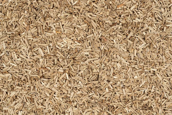 Oak Chips Sawdust Texture Small Wood Chips Smoking Sawdust Background — Stock Photo, Image