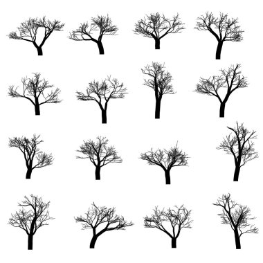 Vektör ağaçları kümesi. Vektör ağacı simgesi. Ağaç logosu. Vektör ağaç tasarımı. Meyve ağaçları ve meyve ağaçları. Vahşi ağaçlar ve çalılar.