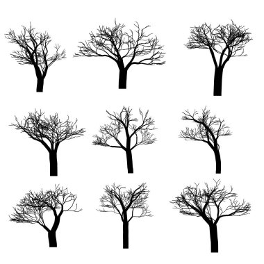 Vektör ağaçları kümesi. Vektör ağacı simgesi. Ağaç logosu. Vektör ağaç tasarımı. Meyve ağaçları ve meyve ağaçları. Vahşi ağaçlar ve çalılar.
